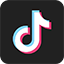 TikTok icon